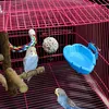 Mygeromon Vogel Dusche - Papagei Käfig Zubehör Badewanne Produktbild-Vorschau 5