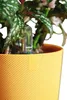 elho jazz rund 19cm amber gelb Produktbild-Vorschau 16