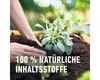 Mini-Hochbeet- und Gewächshauserde COMPO  Mini-Hochbeeterde Produktbild-Vorschau 6