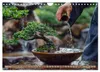 Bonsai meditativ (Wandkalender 2027 DIN A4 quer), CALVENDO Produktbild-Vorschau 7