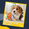 FANCY Hundeball mit Schlaufen 13 cm, Stoffball Hund - Produktbild-Vorschau 5
