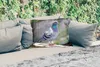 MuchoWow® Outdoor Kissen - Taube - Vogel - Lila - Federn - Produktbild-Vorschau 2