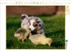 Calvendo Alle meine Gänschen 1000 Teile Puzzle quer Produktbild-Vorschau 3
