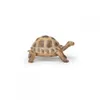 Papo Wild Life Schildkröte 50264 Produktbild-Vorschau 1
