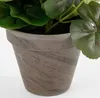 Géranium Artificiel Saumon Beauté Florale éternelle Sans Voir les images du produit 4