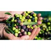 Kanakis | Grüne Oliven - 300 G - Mit Stein - Bitter, Produktbild-Vorschau 2