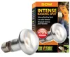 Lampadina Exo Terra Intense Basking Spot 50W Anteprima dell’immagine prodotto 7
