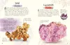 Wundervolle Welt - Kleine Schätze. Steine und Mineralien Produktbild-Vorschau 5