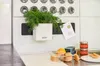LECHUZA Green Wall Home Kit, Kvetináč, Nástenný, Náhľad obrázku produktu 15