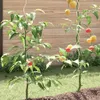vidaXL Tomaten-Spiralstäbe 20 Stk. 170 cm Verzinkter Stahl Produktbild-Vorschau 3