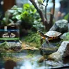 Terrario ReptoGel Clean - Wasserreinigung für Schildkröten Produktbild-Vorschau 4