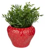 BUTLERS Blumentopf STRAWBERRY Erdbeere Produktbild-Vorschau 2