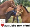 AMKA Doppellonge 16 Meter mit 2 Karabiner + Propylen  Produktbild-Vorschau 6