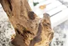 Naturbelassene Design Skulptur REEF 100-125cm aus Treibholz Produktbild-Vorschau 6