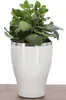 KOTARBAU® Lot de 2 pots de fleurs ronds Haut Céramique Voir les images du produit 5