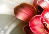 Akustikbild Blumen 200x100 cm Bilder Akustikschaum Produktbild-Vorschau 2