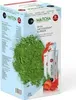 2 *  Matcha Grüner Tee mit Erdbeeraroma 20 Stück (40 stusk) Produktbild-Vorschau 2