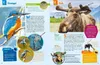 Was ist was: Geniale Tiere ... und ihre Tricks Produktbild-Vorschau 13