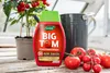 Westland Big Tom Tomatendünger 1 l Produktbild-Vorschau 3