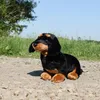 RAPPA Peluche chien teckel assis 32 cm ECO-FRIENDLY Voir les images du produit 7