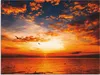 ARTland Wandbild Alu für Innen & Outdoor Sonnenuntergang am Produktbild-Vorschau 1
