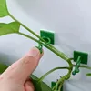 Supporti autoadesivi per piante 100 pz, clip per piante Anteprima dell’immagine prodotto 2
