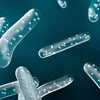 An artistic rendering of rod-shaped bacteria with internal dots, set against a dark blue background. Anteprima dell’immagine prodotto