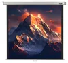 celexon Leinwand Rollo Professional 240 x 240 cm - 134" Produktbild-Vorschau 1