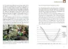 Winterstarre bei Europäischen Landschildkröten Produktbild-Vorschau 6