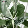 KOTARBAU® 2er Set Pflanzenstütze Transparent PVC 58 cm Produktbild-Vorschau 9