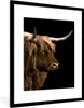 MuchoWow® Gerahmtes Poster Schottischer Highlander - Kühe - Produktbild-Vorschau 1