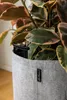 Kvetináč LECHUZA Trendcover 32 Felt Light Grey | Kvetináč Náhľad obrázku produktu 3