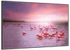 Wallario Wandbild Rosa Flamingos bei Sonnenuntergang, Produktbild-Vorschau 2