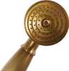 A close-up view of a gold-colored shower head. Náhled obrázku produktu
