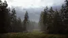 Hunting Simulator 2 (PS5) - Jagdspiel der Markenklasse Produktbild-Vorschau 6