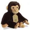 AURORA Eco Nation Chimpanzee soft toy, 25 cm Produktbild-Vorschau 3