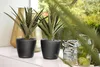 LECHUZA-Vase à plantes CLASSICO Premium LS 21 Anthracite Voir les images du produit 3