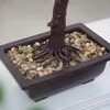 Bonsai,bonsai baum,Sonstige Partydekorationen,34cm, Produktbild-Vorschau 7