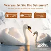 Ganzjahres-Daunendecke aus Baumwolle, weich und kuschelig, Produktbild-Vorschau 3
