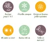 Green boutiQ - Arbustes - Hibiscus syriacus Tricolour - Voir les images du produit 9