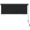 vidaXL Store extérieur 160x250 cm Anthracite Voir les images du produit 3