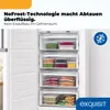Exquisit Gefrierschrank 274 l No Frost | Energieklasse C | Produktbild-Vorschau 7