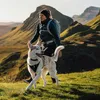 Ruffwear Ridgeline Geschirr Obsidian Black M Produktbild-Vorschau 10