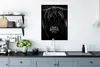 MuchoWow® Gerahmtes Poster Schottischer Highlander - Kuh - Produktbild-Vorschau 3