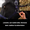 Halfter für Vollblut, Cob – Stallhalfter, Weidehalfter, Produktbild-Vorschau 4