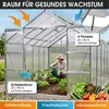 BRAST Gewächshaus Aluminium mit Fundament | 380x250x235cm | Produktbild-Vorschau 6