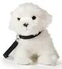 Uni-Toys - Malteser (met riem) - 26 cm (lengte) - Pluchen Productafbeelding-voorbeeld 3