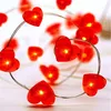 Mini-LED hartjesketting – Hartjesverlichting – Decoratie Productafbeelding-voorbeeld 2