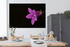 MuchoWow® Poster Eine Nahaufnahme einer lila Lilie auf Produktbild-Vorschau 3