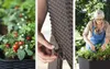 KETER - ľahko rastúca vyvýšená posteľ v ratanovom vzhľade - Náhľad obrázku produktu 13